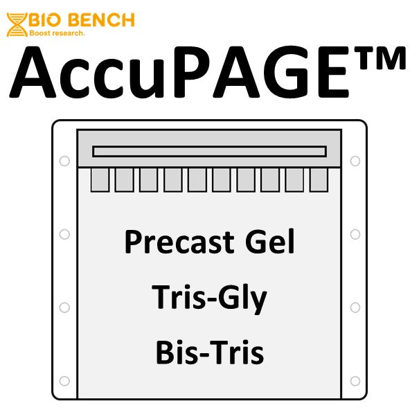 AccuPAGE™ Precast Gel