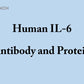 Human IL-6 antibody and protein - IVD material