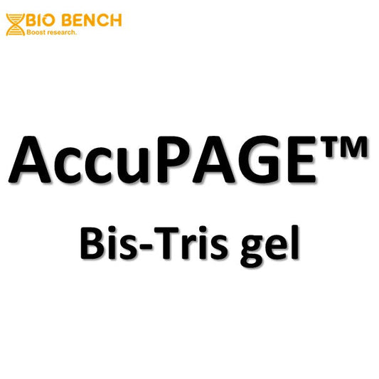 FREE SAMPLE AccuPAGE™ Bis-Tris Precast Gel