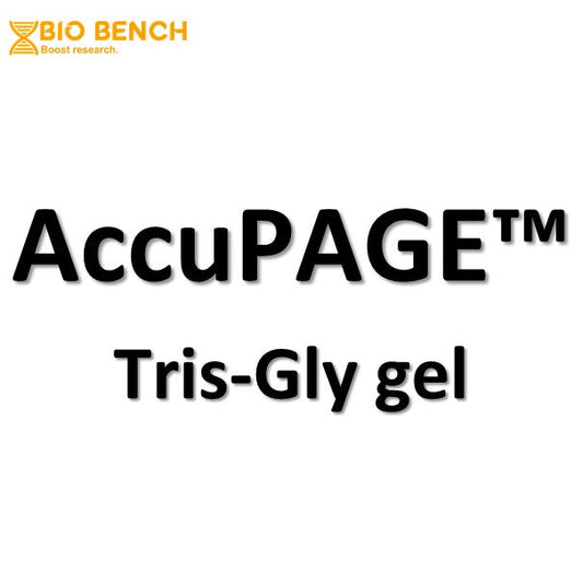 FREE SAMPLE AccuPAGE™ Tris-Glycine Precast Gel